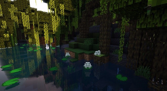 Minecraft 1.19 có Shader