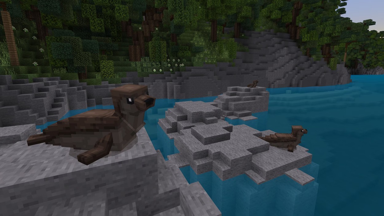 Minecraft Add on New Zealand Location 4