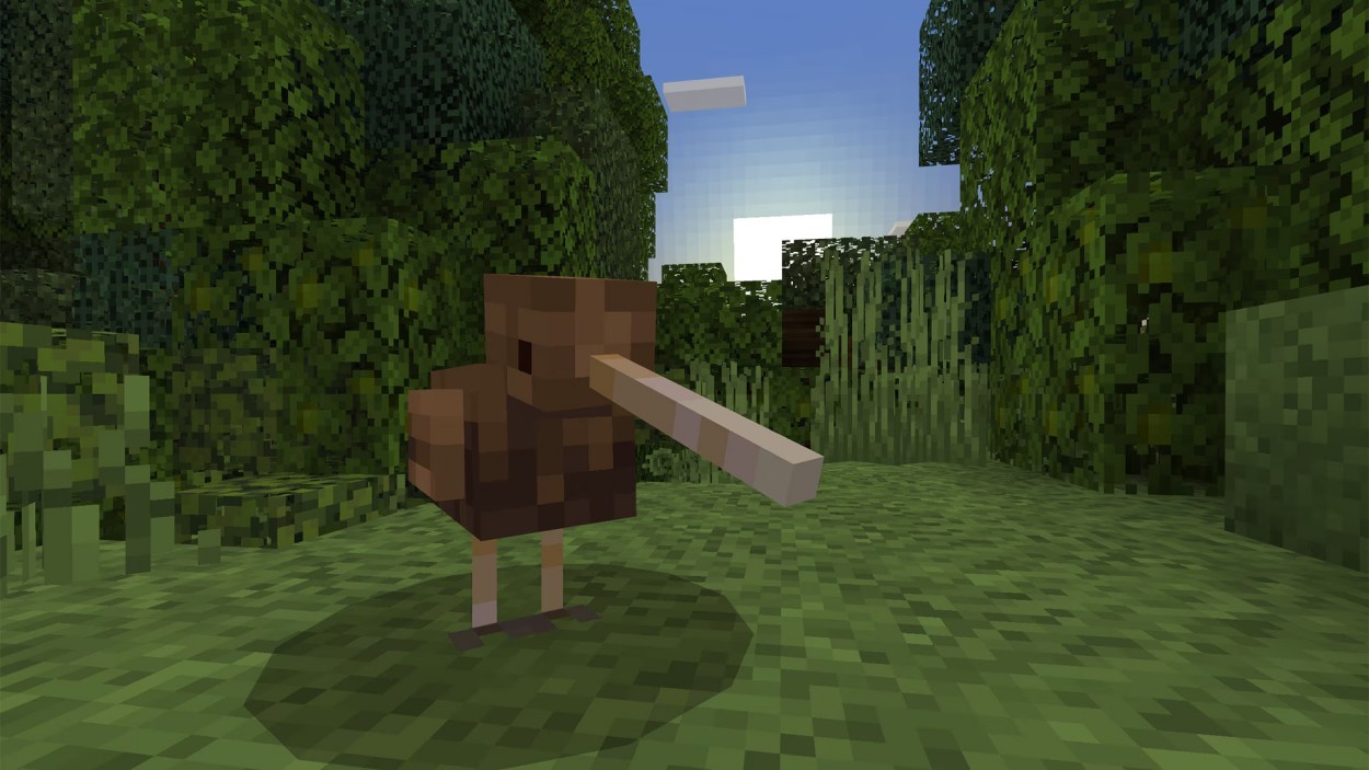 Minecraft Add on New Zealand Location 5