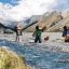 Khám Phá Vẻ Đẹp New Zealand Trong Minecraft với Aotearoa DLC Miễn Phí!