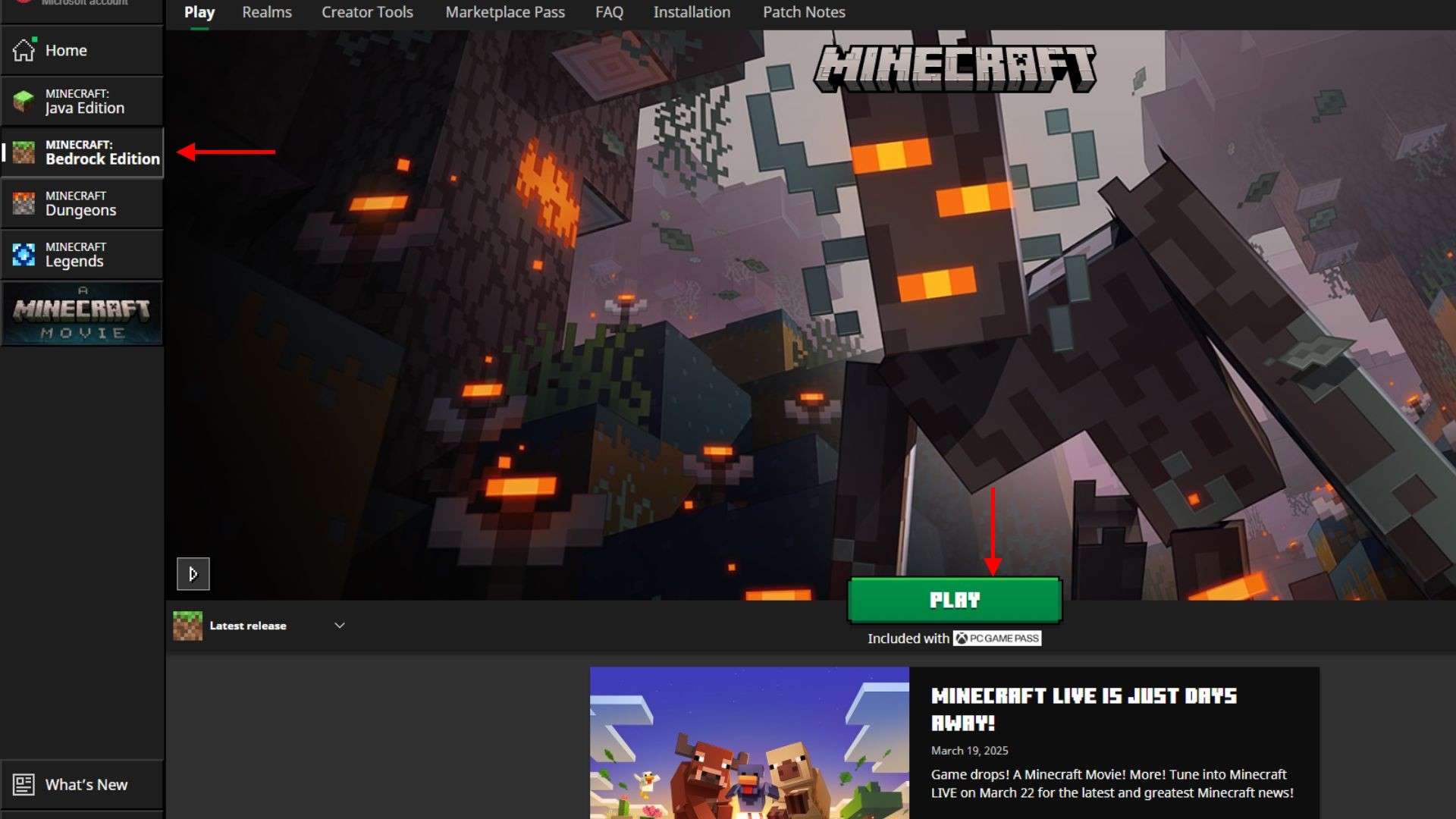 Minecraft Player Bedrock