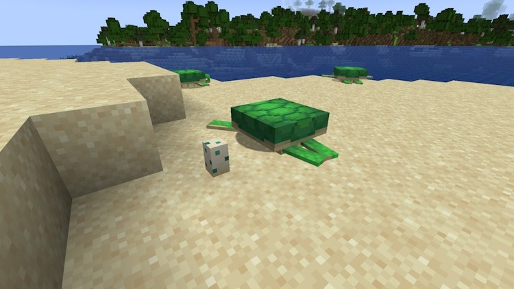 Một quả trứng rùa trong Minecraft