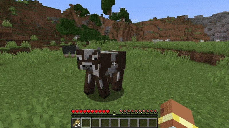 Người chơi cho bò ăn trong Minecraft