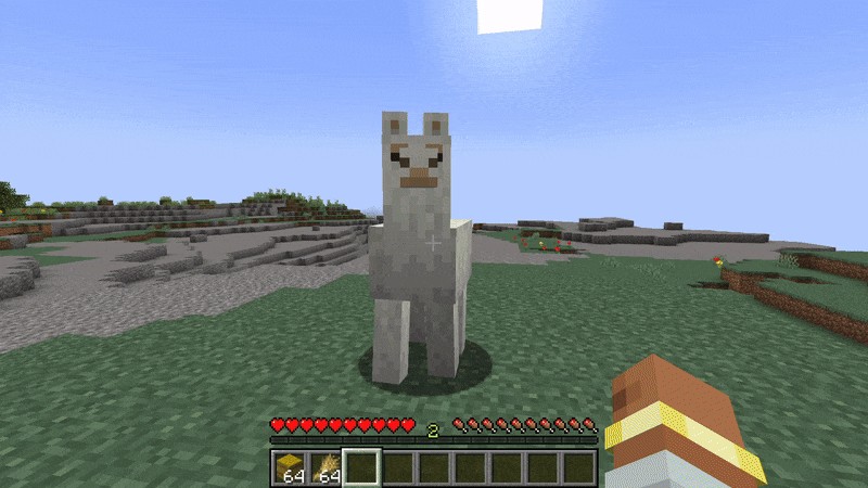 Người chơi cho lạc đà Alpaca ăn lúa mì và khối cỏ khô trong Minecraft