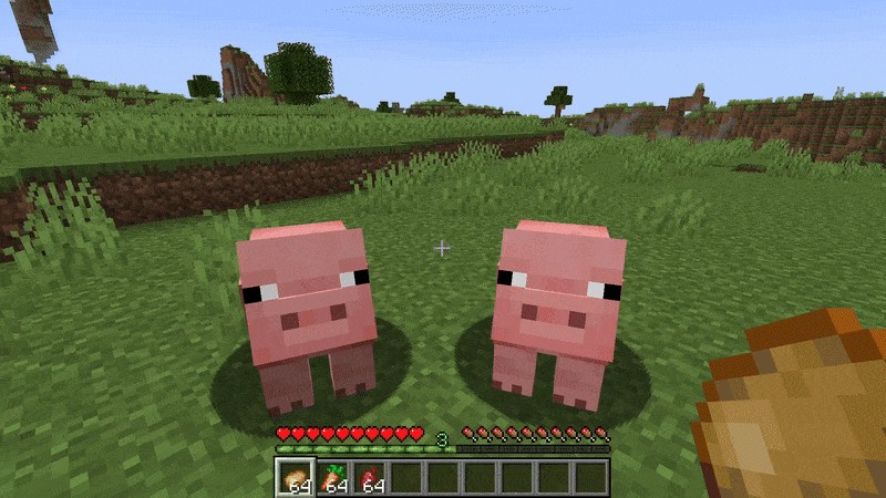 Người chơi lai tạo heo bằng thức ăn yêu thích của chúng trong Minecraft