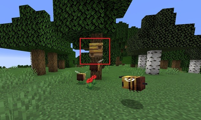 Ổ Ong trong Minecraft