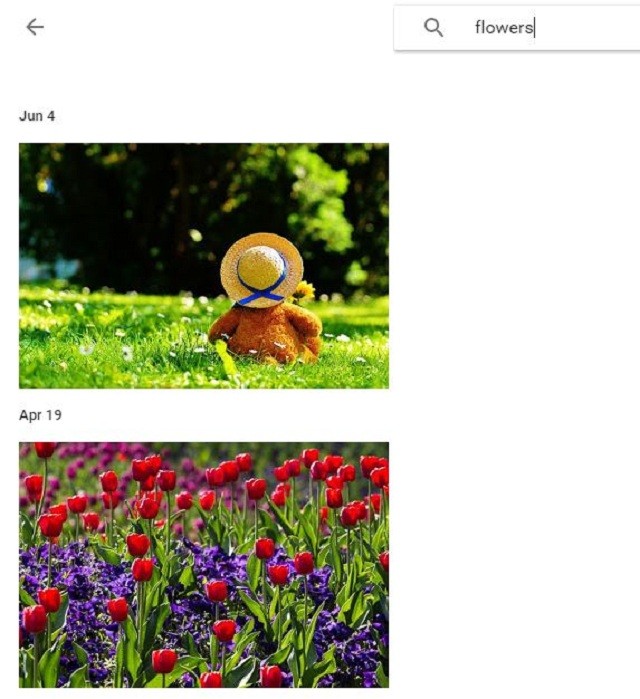 photo-search-3