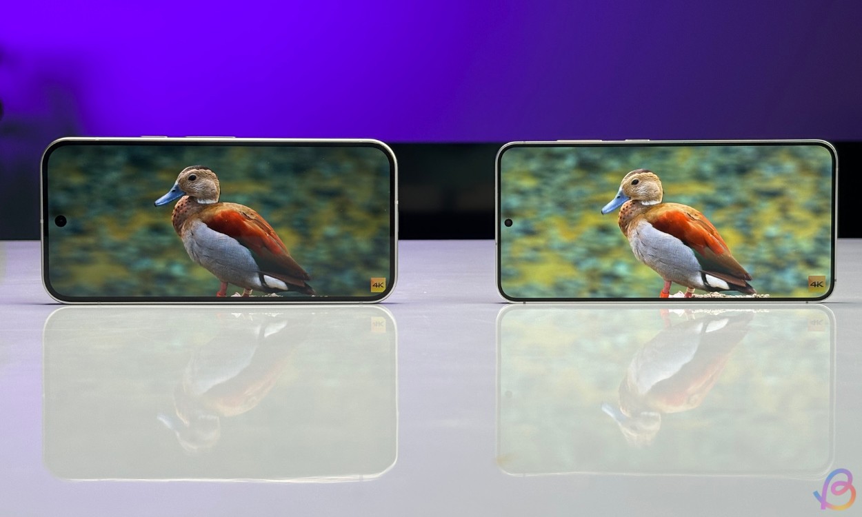 Pixel 9 vs Galaxy S24 display comparison