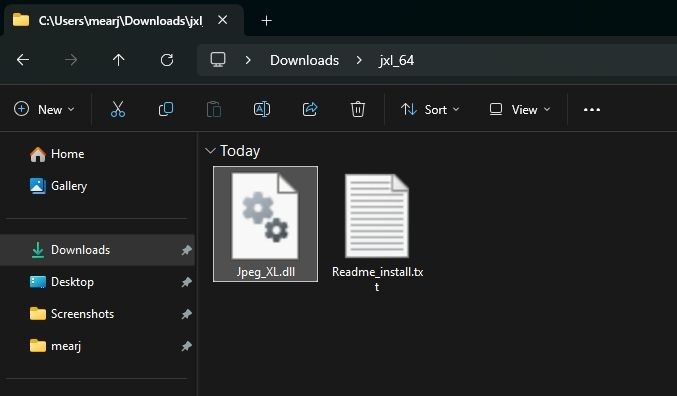 Plugin JPEG XL cho IrfanView