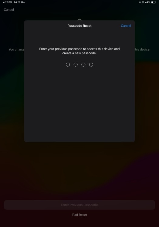 Reset Password option in iPadOS 17