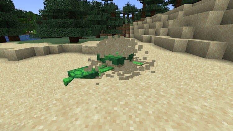 Cách Kiếm và Ấp Trứng Rùa Trong Minecraft: Hướng Dẫn Chi Tiết 2025
