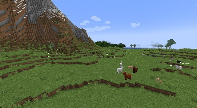 Seed Trang trại động vật trong Minecraft