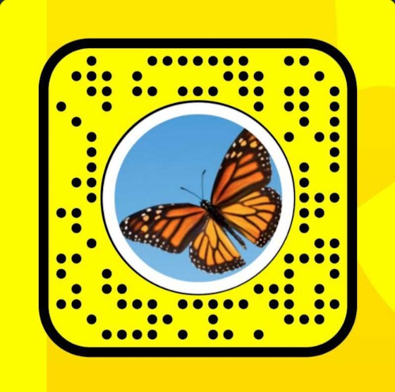 Snapcode của hiệu ứng bươm bướm