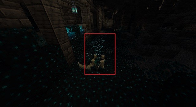 Soul Shrieker Summoning a Warden
