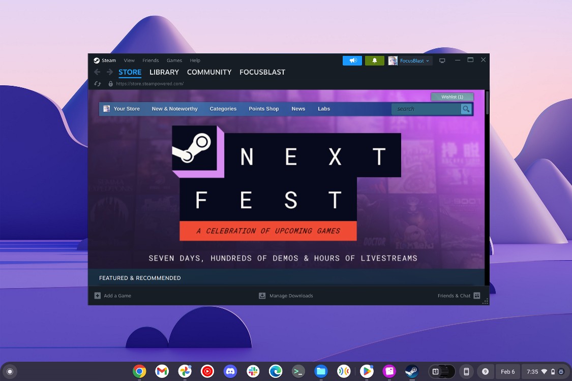 Steam Window on Chrome OS