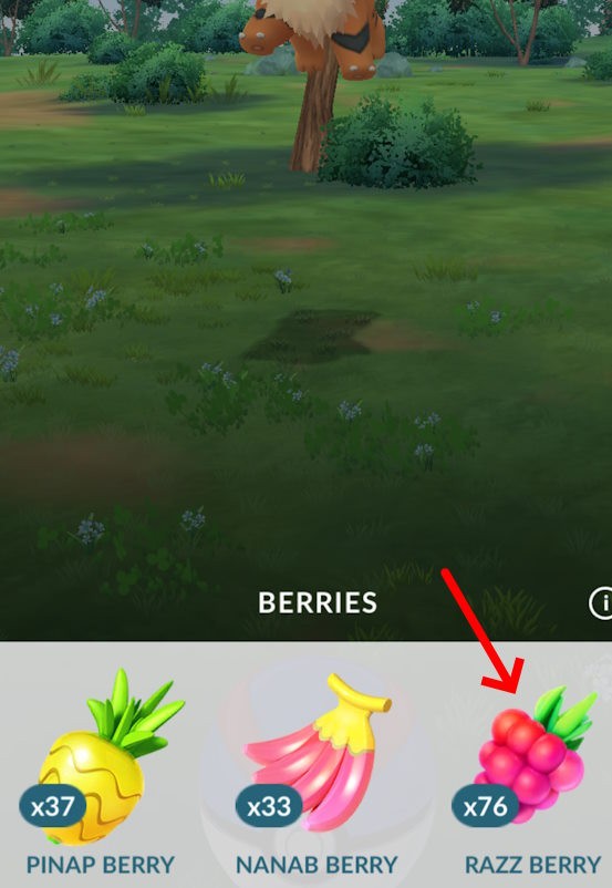 Sử dụng Nanab Berry để tăng cơ hội bắt Pokemon