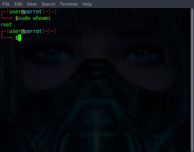 Sử dụng sudo để chạy lệnh với tư cách là người dùng root trong Linux