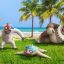 Hướng Dẫn Chi Tiết Cách Bắt Komala Shiny Trong Pokémon GO (2025)