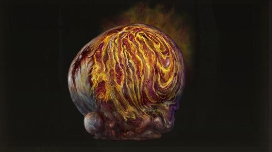Swollen Grape từ Aged Ones trong Elden Ring Shadow of the Erdtree
