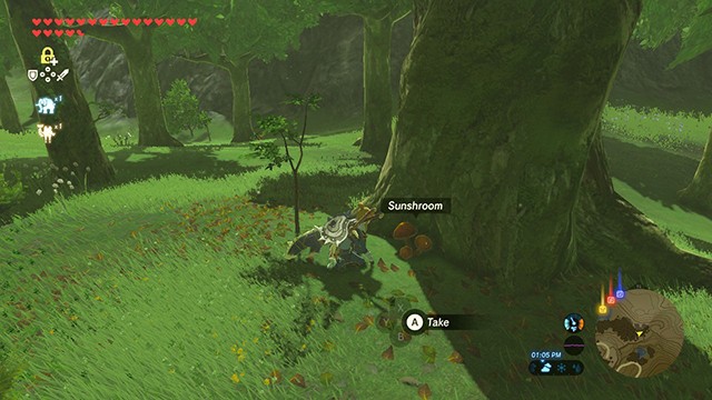 Thu thập nấm trong Breath of the Wild