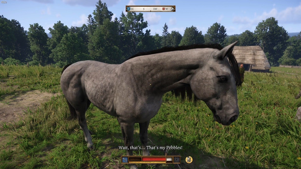 Tìm Pebbles trong Kingdom Come Deliverance 2