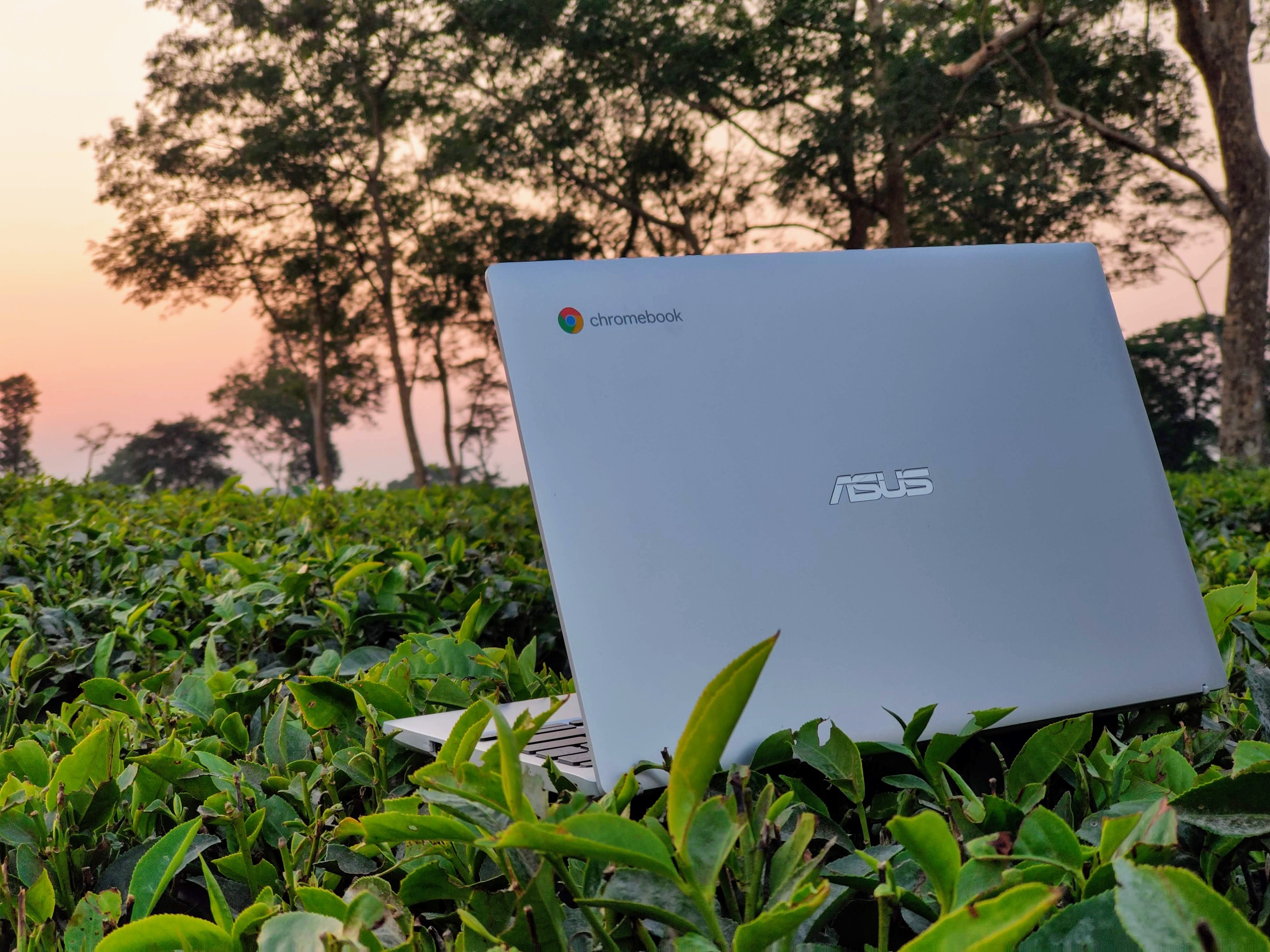 Đánh giá Asus Chromebook CX1101 (2025): Chromebook giá rẻ đáng mua nhất?