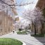 Toyota Xây Dựng “Woven City”: Thành Phố Tương Lai Tại Chân Núi Phú Sĩ