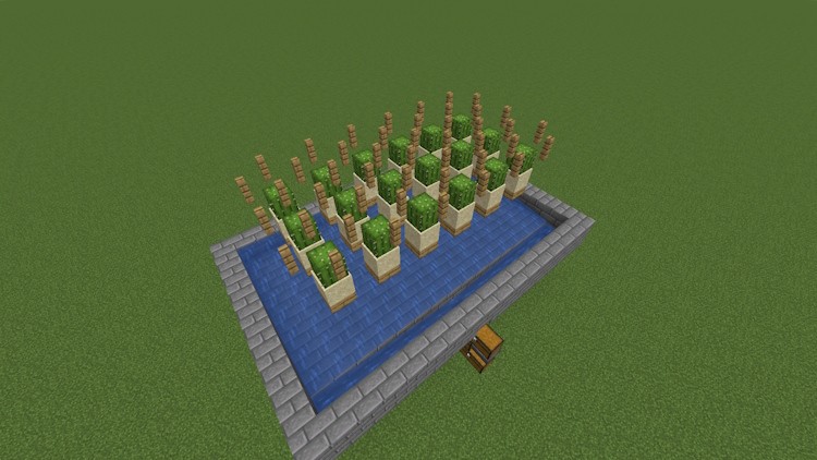 Trang trại xương rồng hoàn thiện và hoạt động đầy đủ trong Minecraft