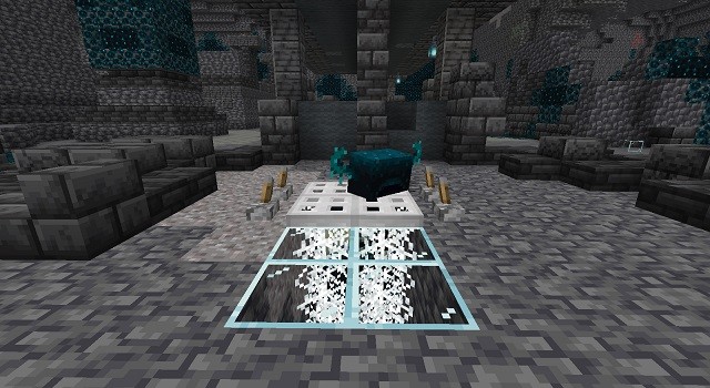 Trap Warden Underground