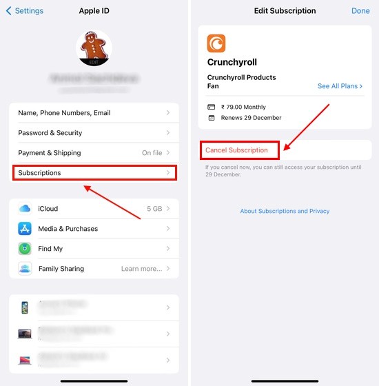 Tùy chọn hủy Đăng Ký Crunchyroll trên iPhone