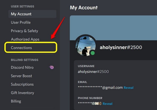 Tùy Chọn Kết Nối Trong Cài Đặt Người Dùng Trên Discord