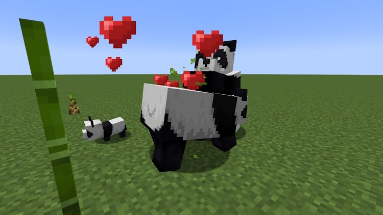 Two pandas breeding and producing offspring in Minecraft