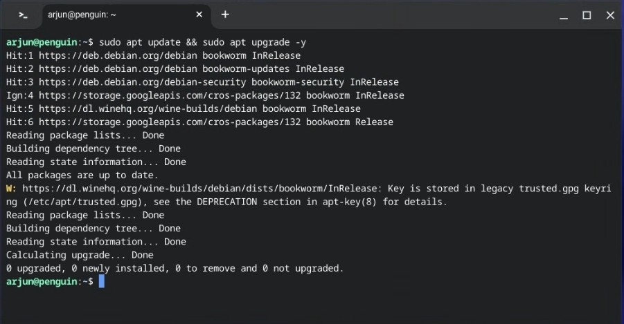 update linux package on chromebook