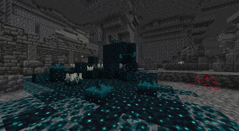 Warden Biến Mất Trong Minecraft