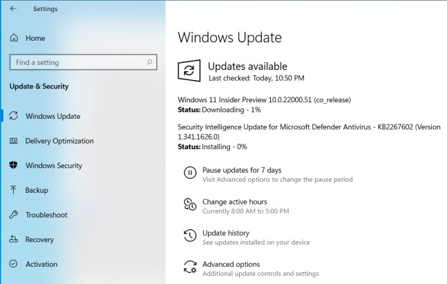 Windows 11 Insider Preview Build