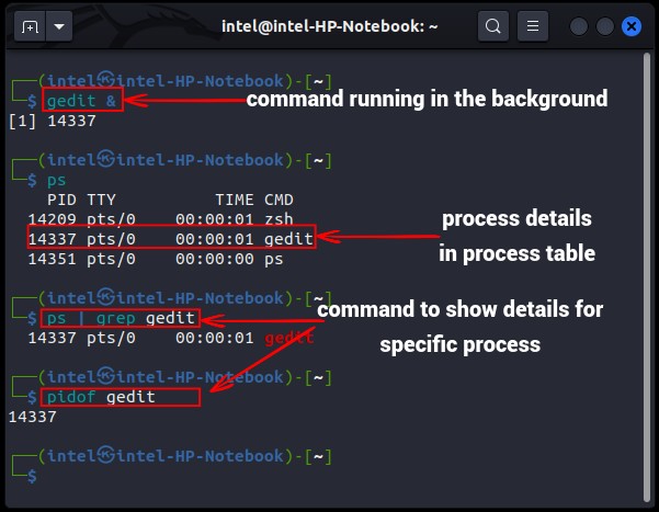 Hướng Dẫn Chi Tiết Cách “Giết” Tiến Trình Trong Linux: CLI và GUI (2025)