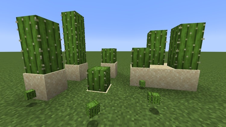 Hướng dẫn xây dựng trang trại xương rồng Minecraft tự động, hiệu quả nhất 2025